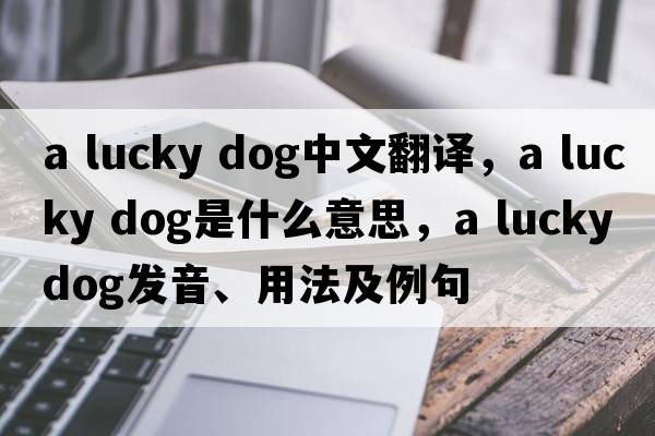 a lucky dog中文翻譯，a lucky dog是什么意思，a lucky dog發(fā)音、用法及例句