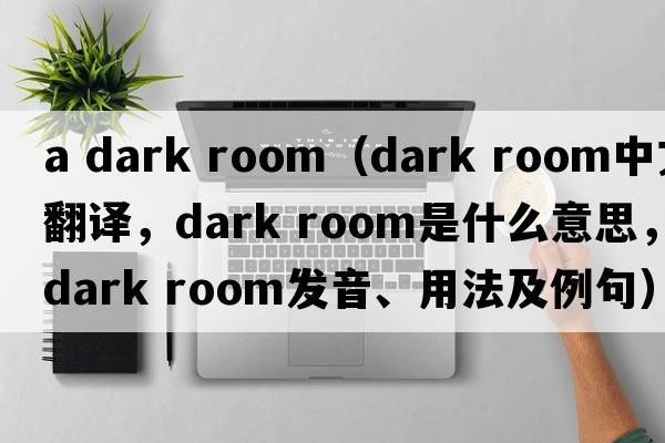 a dark room（dark room中文翻譯，dark room是什么意思，dark room發(fā)音、用法及例句）