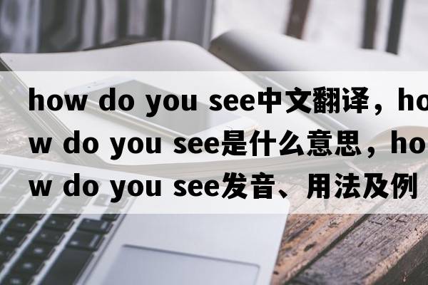 how do you see中文翻譯，how do you see是什么意思，how do you see發(fā)音、用法及例句