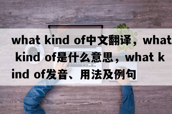 what kind of中文翻譯，what kind of是什么意思，what kind of發(fā)音、用法及例句