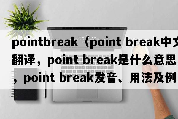 pointbreak（point break中文翻譯，point break是什么意思，point break發(fā)音、用法及例句）