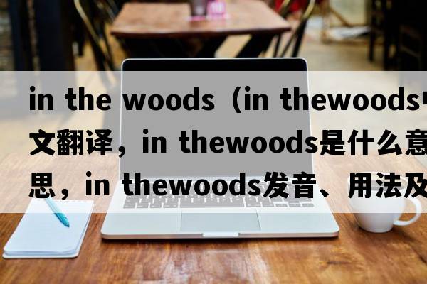 in the woods（in thewoods中文翻譯，in thewoods是什么意思，in thewoods發(fā)音、用法及例句）