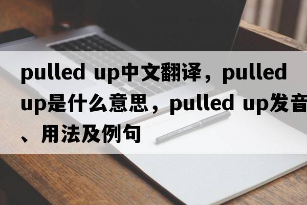 pulled up中文翻譯，pulled up是什么意思，pulled up發(fā)音、用法及例句