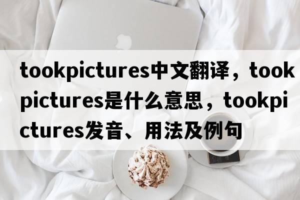 tookpictures中文翻譯，tookpictures是什么意思，tookpictures發(fā)音、用法及例句