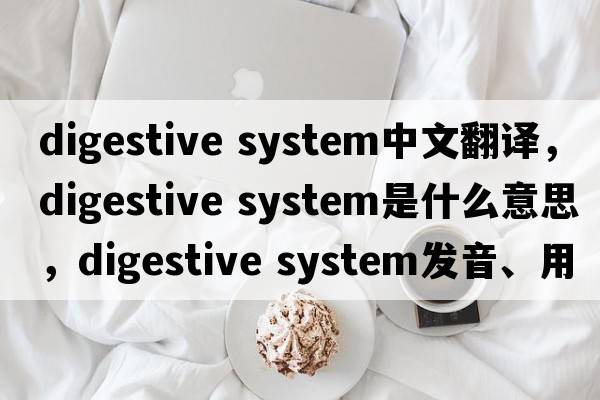 digestive system中文翻譯，digestive system是什么意思，digestive system發(fā)音、用法及例句