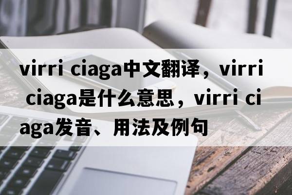 virri ciaga中文翻譯，virri ciaga是什么意思，virri ciaga發(fā)音、用法及例句