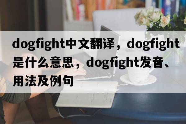 dogfight中文翻譯，dogfight是什么意思，dogfight發(fā)音、用法及例句