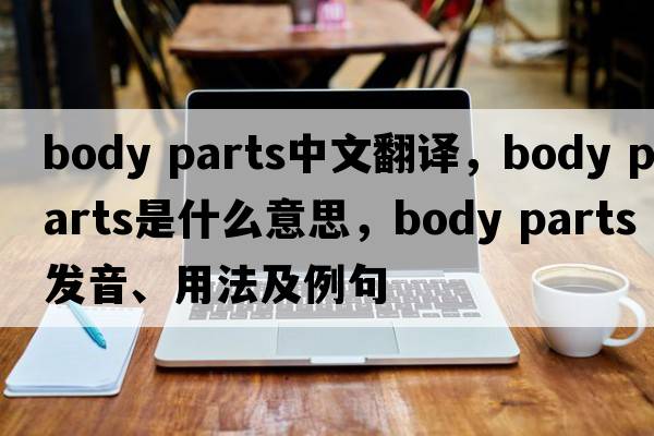 body parts中文翻譯，body parts是什么意思，body parts發(fā)音、用法及例句
