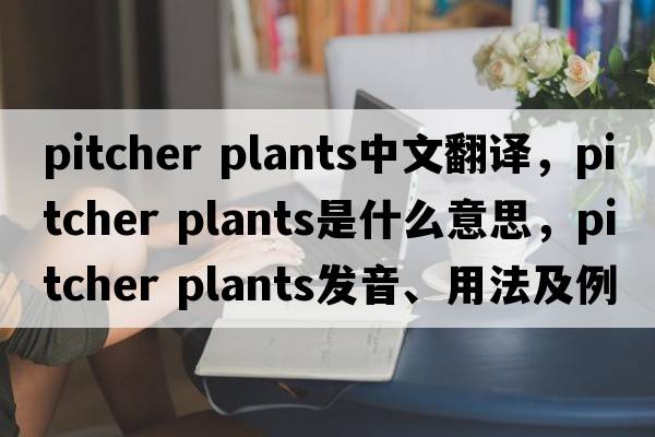 pitcher plants中文翻譯，pitcher plants是什么意思，pitcher plants發(fā)音、用法及例句