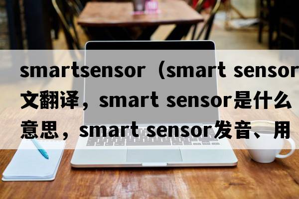 smartsensor（smart sensor中文翻譯，smart sensor是什么意思，smart sensor發(fā)音、用法及例句）