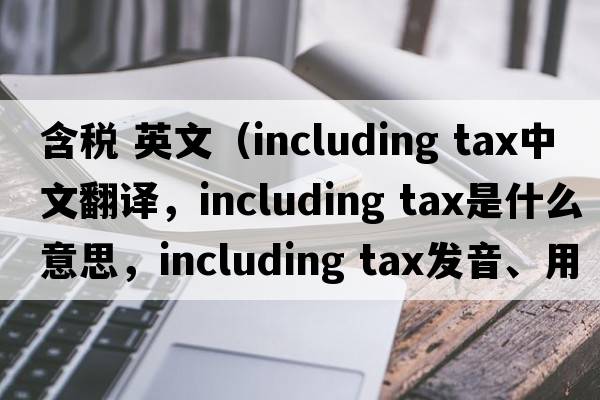 含稅 英文（including tax中文翻譯，including tax是什么意思，including tax發(fā)音、用法及例句）
