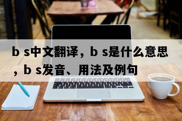 B S中文翻譯，B S是什么意思，B S發(fā)音、用法及例句