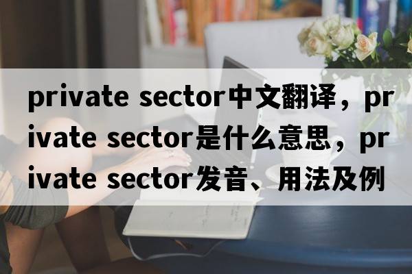 private sector中文翻譯，private sector是什么意思，private sector發(fā)音、用法及例句
