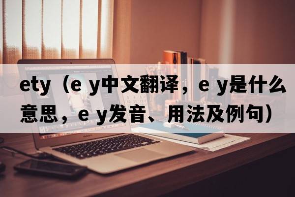 ety（e y中文翻譯，e y是什么意思，e y發(fā)音、用法及例句）