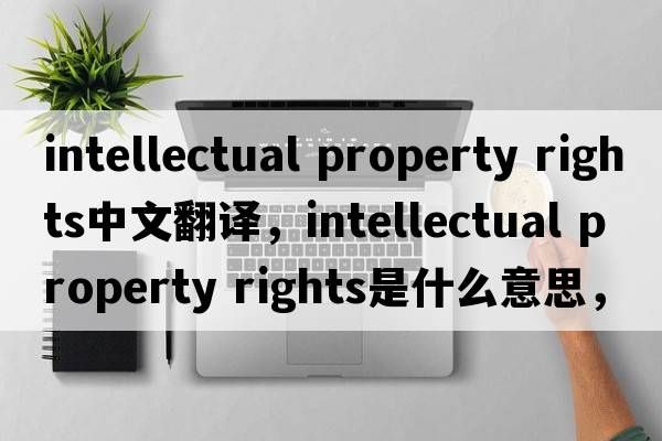 intellectual property rights中文翻譯，intellectual property rights是什么意思，intellectual property rights發(fā)音、用法