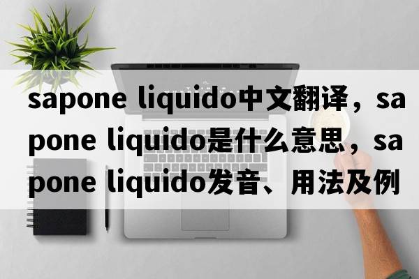 sapone liquido中文翻譯，sapone liquido是什么意思，sapone liquido發(fā)音、用法及例句