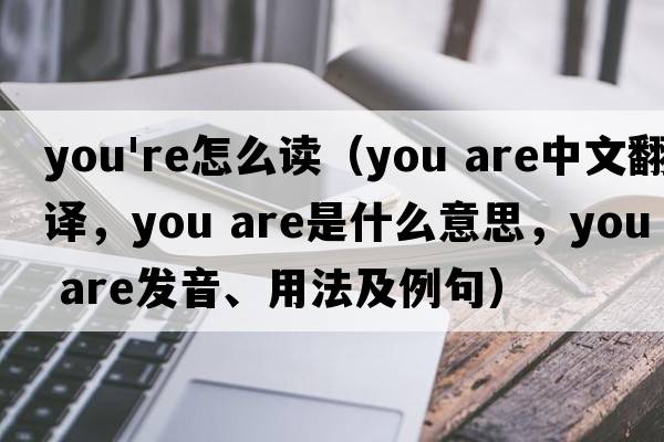 you're怎么讀（you are中文翻譯，you are是什么意思，you are發(fā)音、用法及例句）