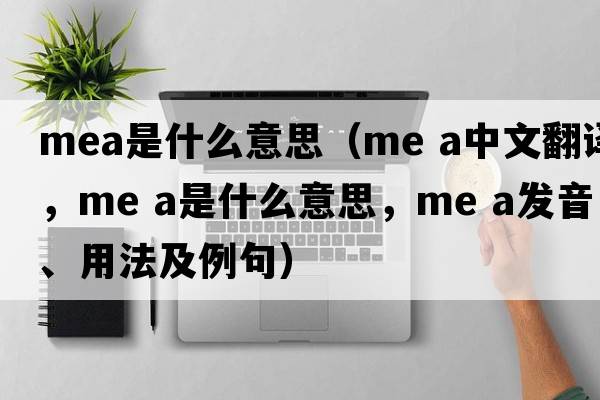 mea是什么意思（me a中文翻譯，me a是什么意思，me a發(fā)音、用法及例句）