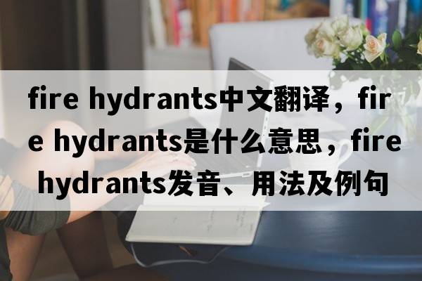 fire hydrants中文翻譯，fire hydrants是什么意思，fire hydrants發(fā)音、用法及例句