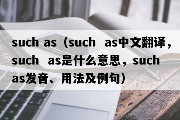 such as（such  as中文翻譯，such  as是什么意思，such  as發(fā)音、用法及例句）