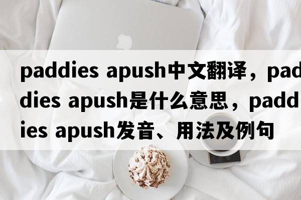 paddies apush中文翻譯，paddies apush是什么意思，paddies apush發(fā)音、用法及例句