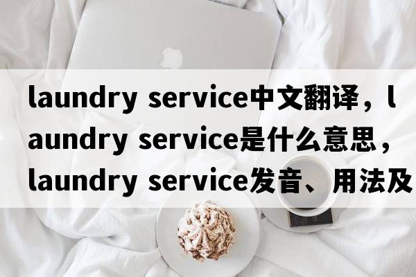 laundry service中文翻譯，laundry service是什么意思，laundry service發(fā)音、用法及例句