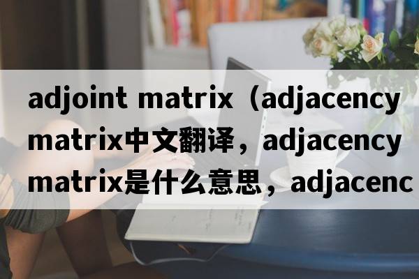adjoint matrix（adjacency matrix中文翻譯，adjacency matrix是什么意思，adjacency matrix發(fā)音、用法及例句）