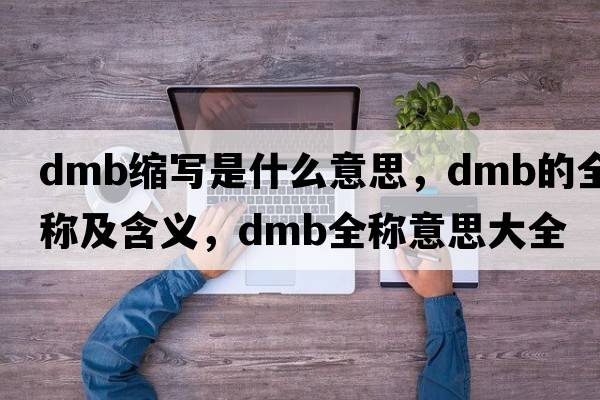 dmb縮寫是什么意思，dmb的全稱及含義，dmb全稱意思大全