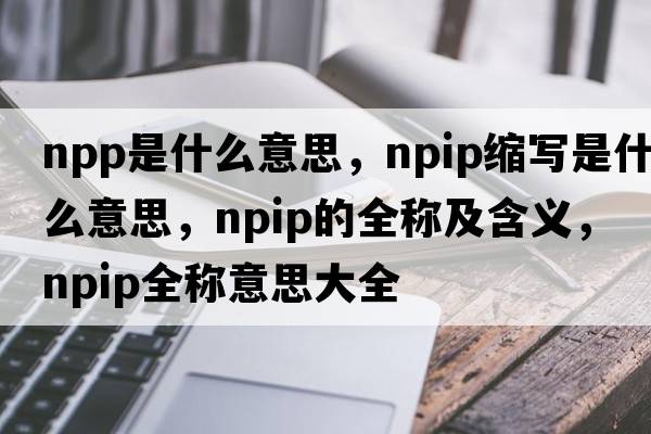 npp是什么意思，npip縮寫是什么意思，npip的全稱及含義，npip全稱意思大全