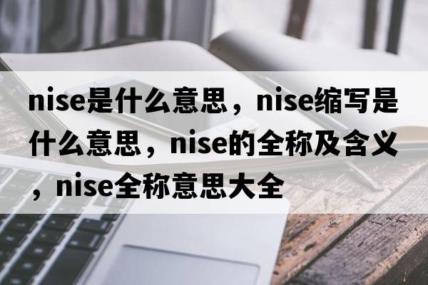 nise是什么意思，nise縮寫是什么意思，nise的全稱及含義，nise全稱意思大全