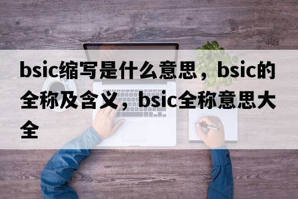 bsic縮寫是什么意思，bsic的全稱及含義，bsic全稱意思大全
