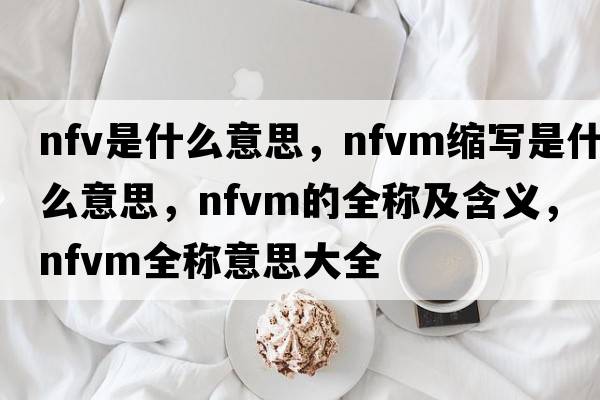 nfv是什么意思，nfvm縮寫(xiě)是什么意思，nfvm的全稱(chēng)及含義，nfvm全稱(chēng)意思大全