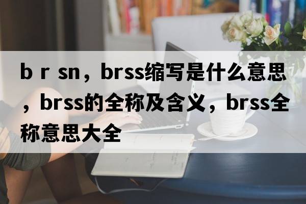 b r sn，brss縮寫(xiě)是什么意思，brss的全稱及含義，brss全稱意思大全