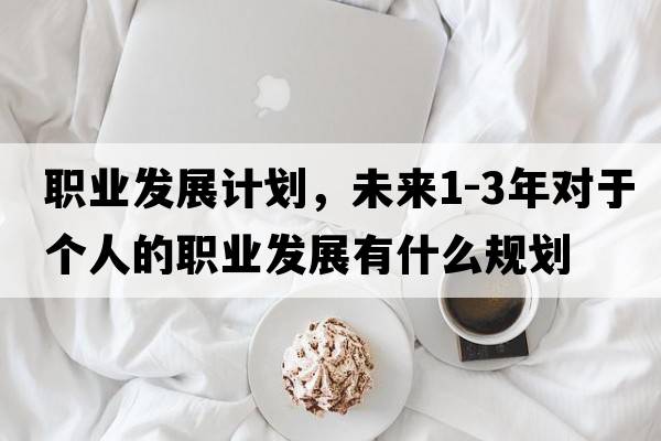 職業(yè)發(fā)展計劃，未來1-3年對于個人的職業(yè)發(fā)展有什么規(guī)劃