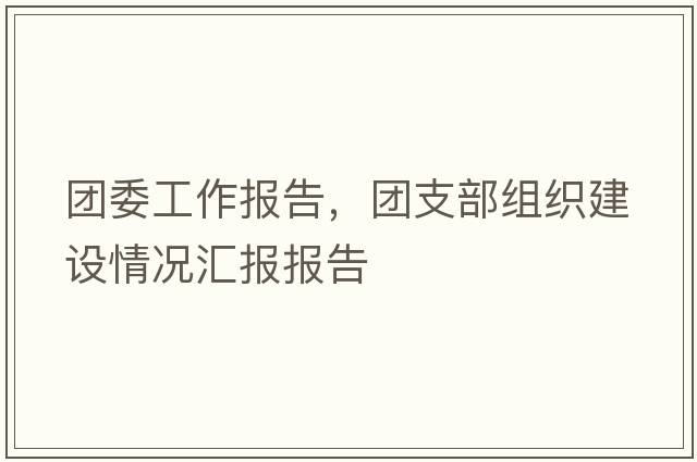 團(tuán)委工作報告，團(tuán)支部組織建設(shè)情況匯報報告