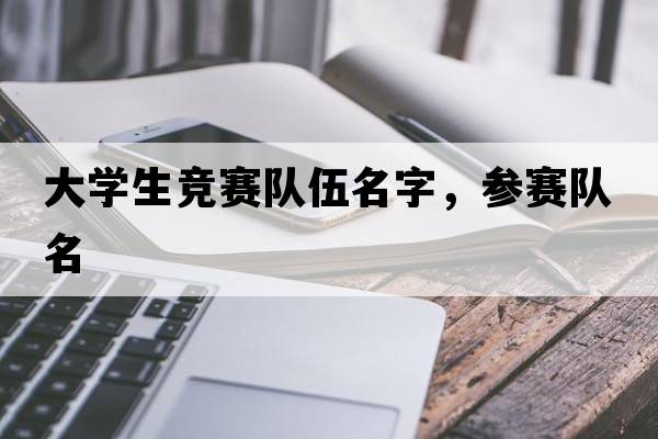 大學(xué)生競(jìng)賽隊(duì)伍名字，參賽隊(duì)名