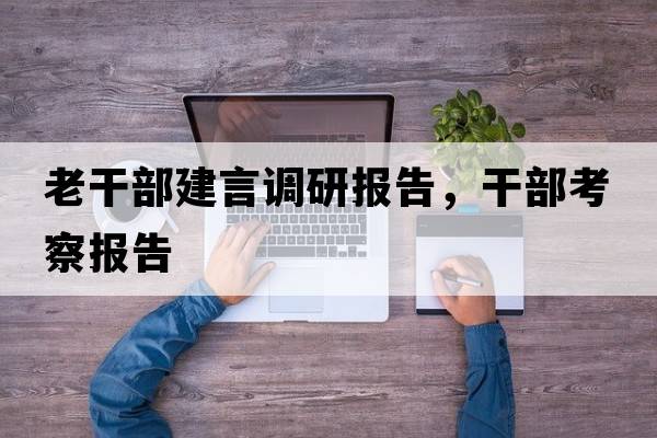 老干部建言調(diào)研報告，干部考察報告
