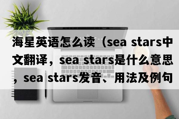 海星英語怎么讀（sea stars中文翻譯，sea stars是什么意思，sea stars發(fā)音、用法及例句）