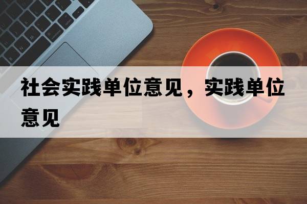 社會(huì)實(shí)踐單位意見，實(shí)踐單位意見