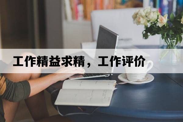 工作精益求精，工作評價