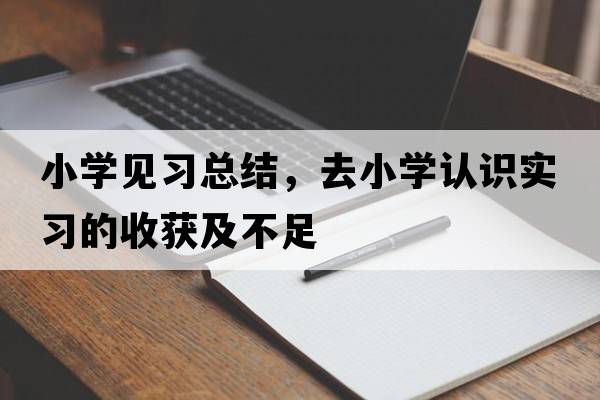 小學(xué)見(jiàn)習(xí)總結(jié)，去小學(xué)認(rèn)識(shí)實(shí)習(xí)的收獲及不足