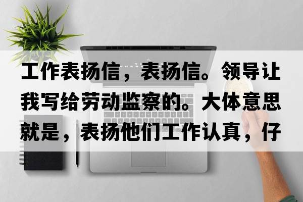 工作表揚(yáng)信，表揚(yáng)信。領(lǐng)導(dǎo)讓我寫給勞動監(jiān)察的。大體意思就是，表揚(yáng)他們工作認(rèn)真，仔細(xì)。政府領(lǐng)導(dǎo)好