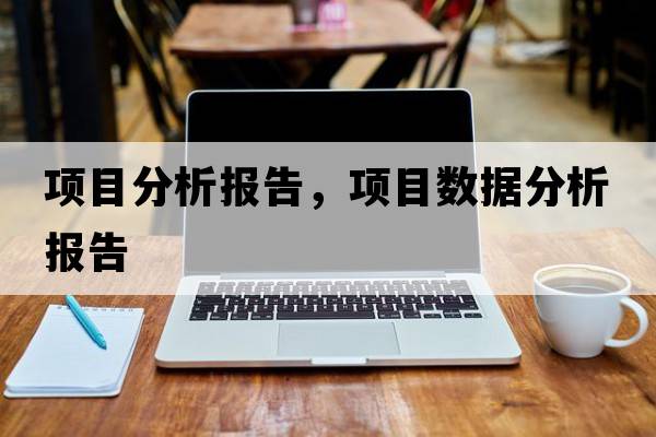 項(xiàng)目分析報(bào)告，項(xiàng)目數(shù)據(jù)分析報(bào)告
