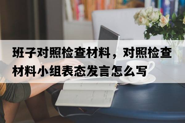 班子對照檢查材料，對照檢查材料小組表態(tài)發(fā)言怎么寫