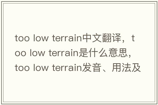 too low terrain中文翻譯，too low terrain是什么意思，too low terrain發(fā)音、用法及例句
