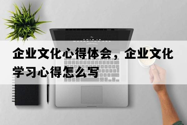 企業(yè)文化心得體會，企業(yè)文化學(xué)習(xí)心得怎么寫