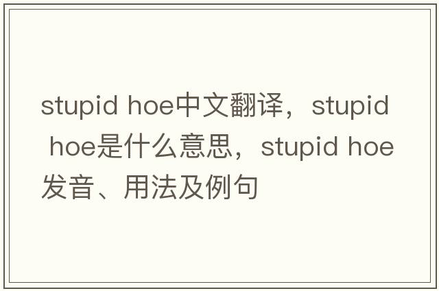 stupid hoe中文翻譯，stupid hoe是什么意思，stupid hoe發(fā)音、用法及例句