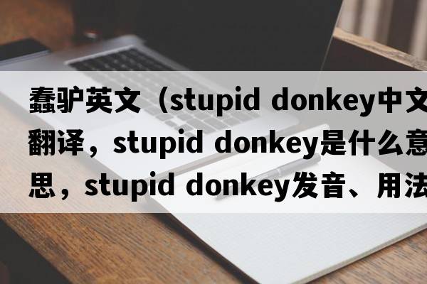 蠢驢英文（stupid donkey中文翻譯，stupid donkey是什么意思，stupid donkey發(fā)音、用法及例句）