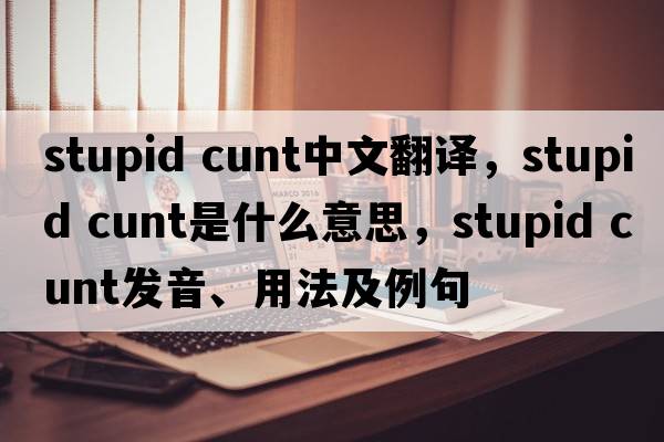 stupid cunt中文翻譯，stupid cunt是什么意思，stupid cunt發(fā)音、用法及例句