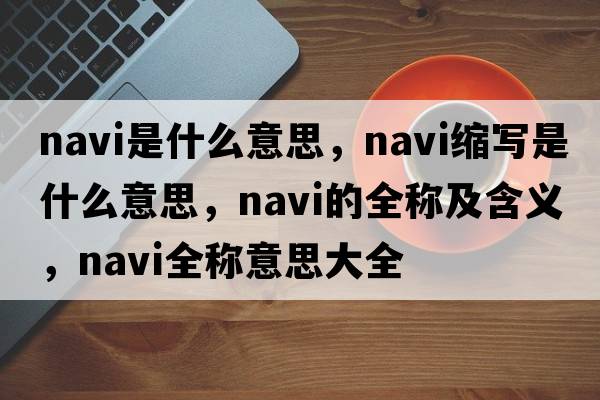 navi是什么意思，navi縮寫是什么意思，navi的全稱及含義，navi全稱意思大全
